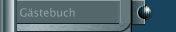 G&auml;stebuch